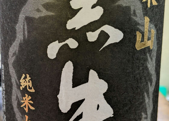 alt 1