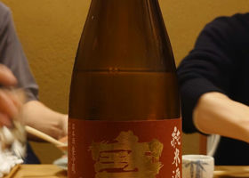 alt 1