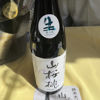 Yusura 1