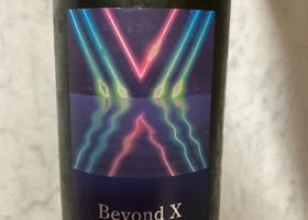 Beyond X チェックイン 1