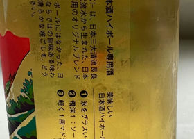 alt 3