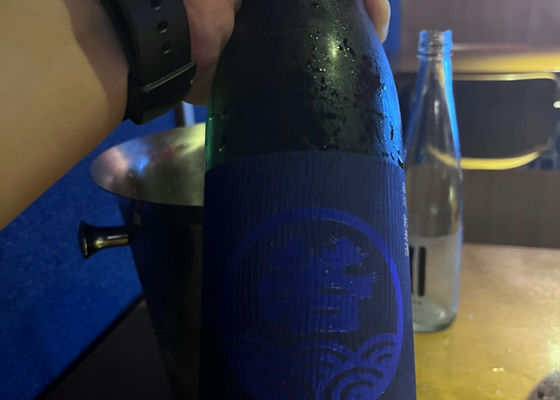 alt 1