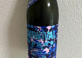 alt 2