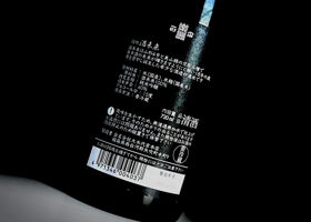 alt 3