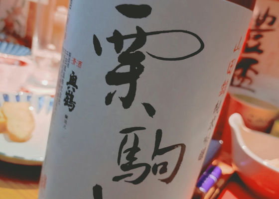 alt 1