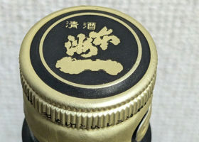 alt 3