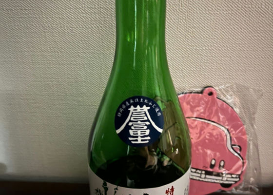 alt 1