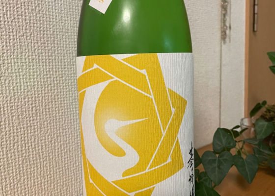 alt 1