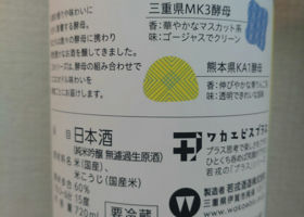 alt 2