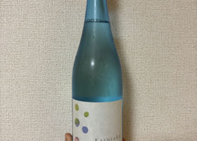 alt 1