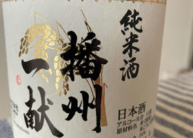alt 1