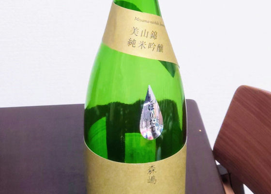 alt 1