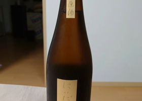 alt 1