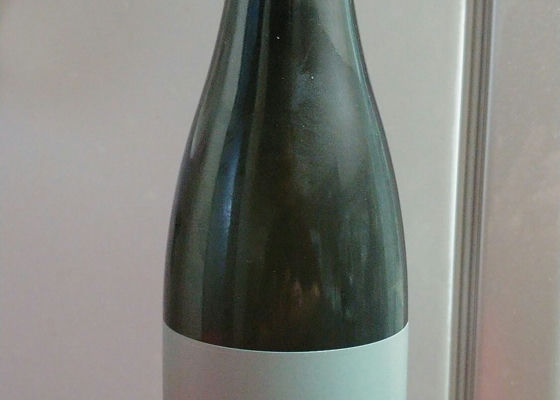 alt 1