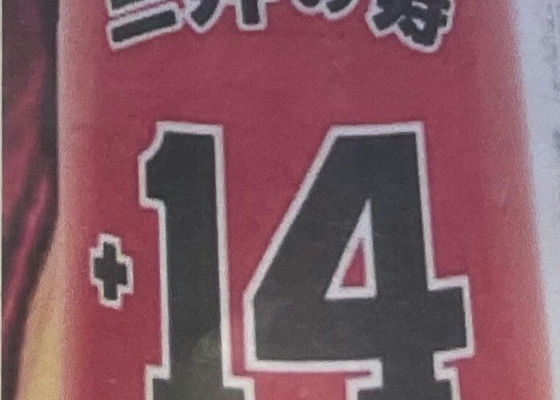 alt 1
