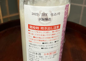 酸基甘酒酛　乳酸発酵活性にごり Check-in 2