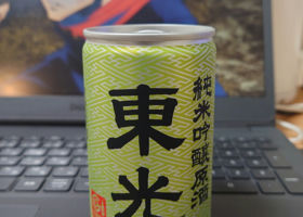 alt 1