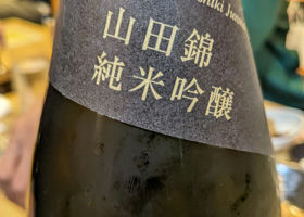 alt 3