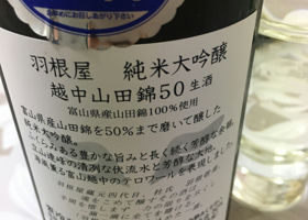 alt 3