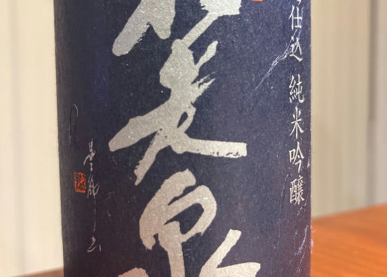 alt 1