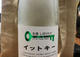 alt 1