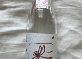 愛山　桜とんぼ チェックイン 1