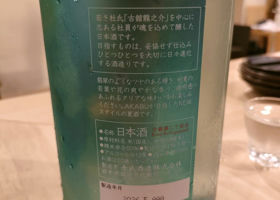 alt 1