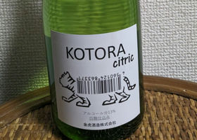 KOTORA citric チェックイン 1