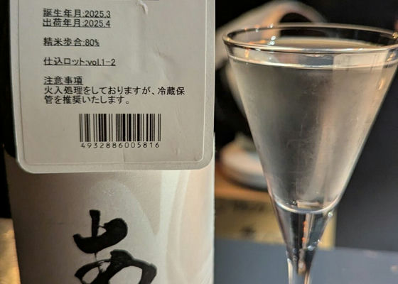 alt 1