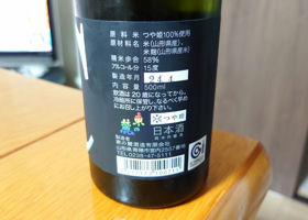 alt 3