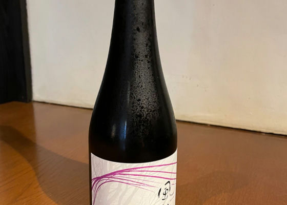 alt 1