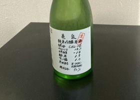 alt 1