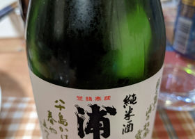 alt 1