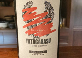 Yatagarasu Check-in 1