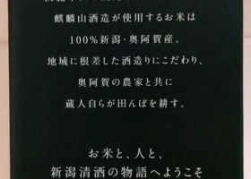 alt 4
