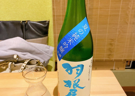 alt 1