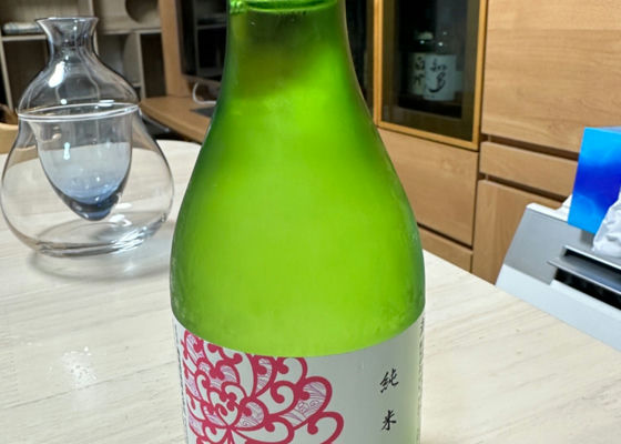 灘菊