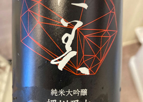 alt 1