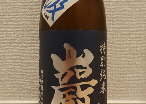 alt 1