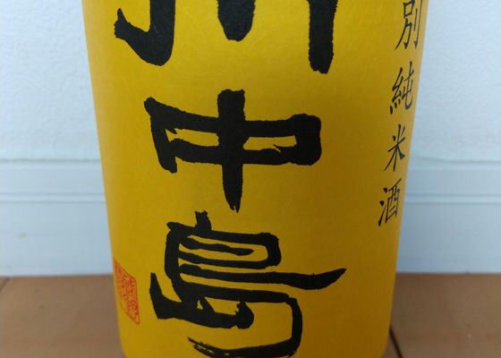 alt 1