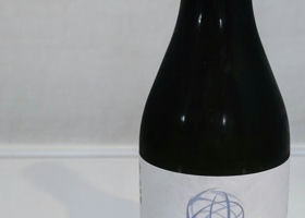 alt 1