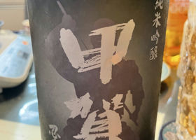 alt 1