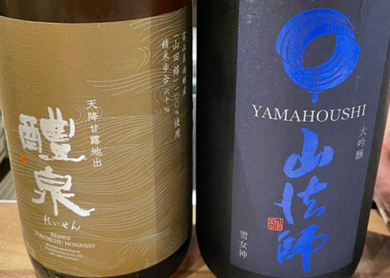 山法師