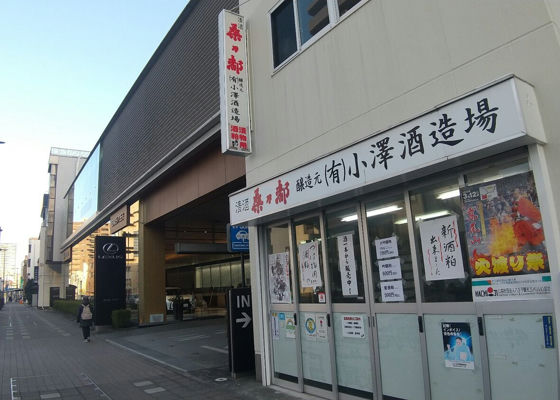 桑の都