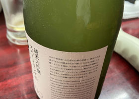alt 3