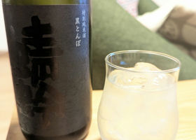 alt 1