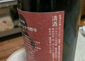 alt 3