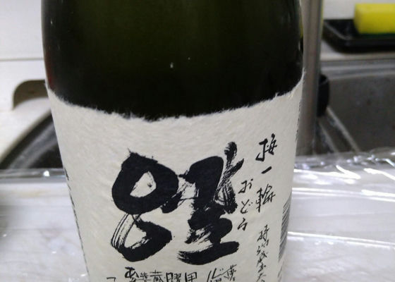 alt 1