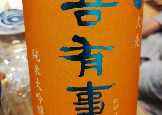 alt 1