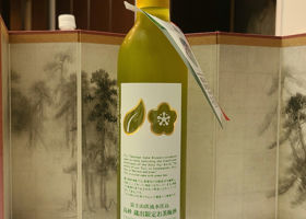 alt 1